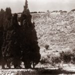 Mt Carmel in the Holy Land where Baha'u'llah stood