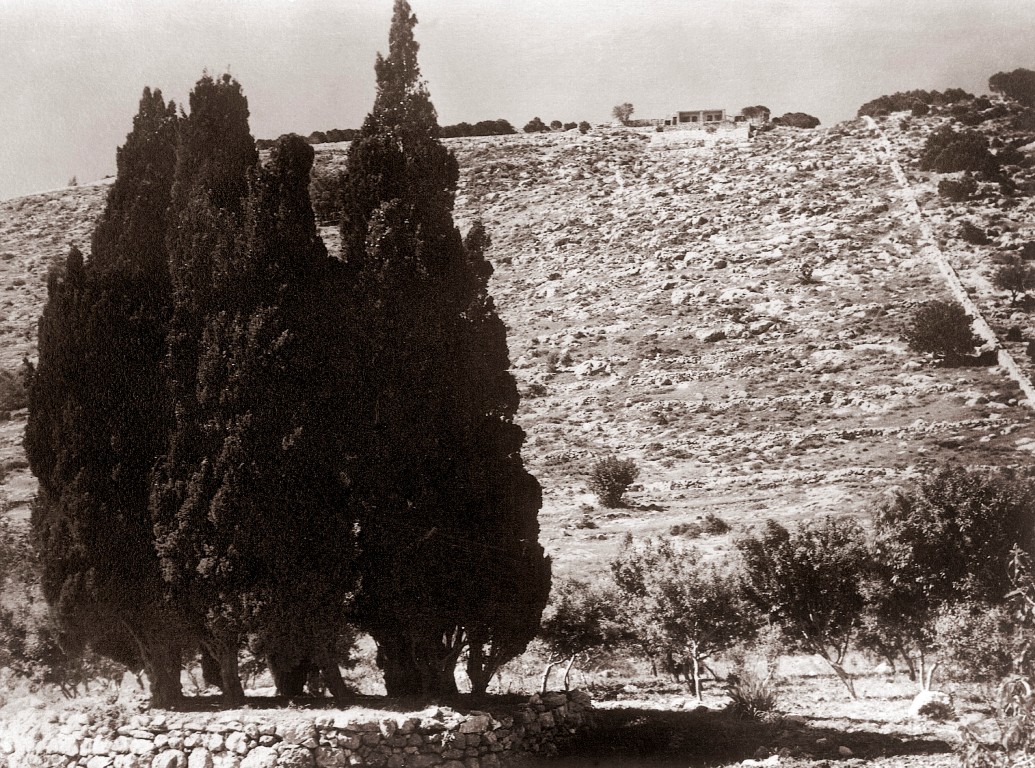 Mt Carmel in the Holy Land where Baha'u'llah stood