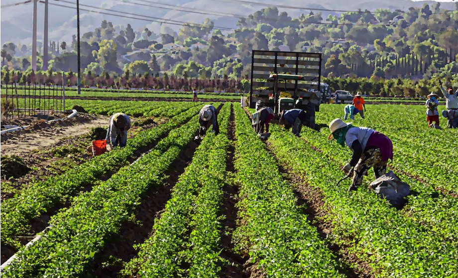 workers' rights