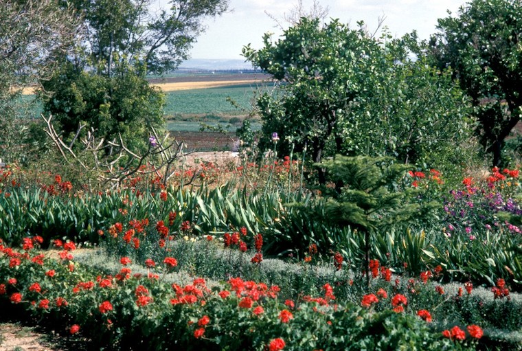 Gardens of the Mansion of Mazra'ih - Ishraqat