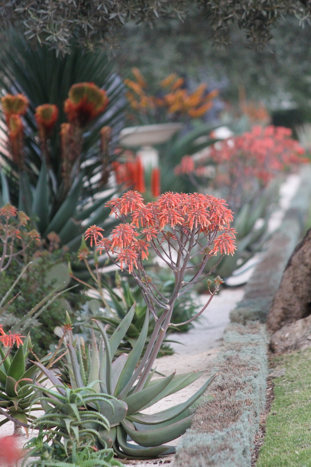 gardens at bahji