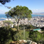 mt carmel overlooking bay of haifa