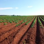 tilled earth humility