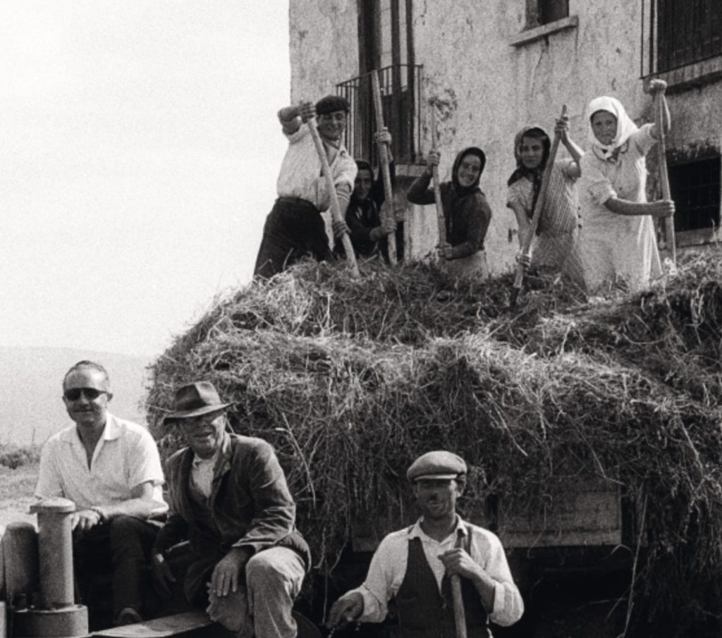 Lacedonian agricultural workers. Women and men stand on a haystack on the back of a tractor.  Frank Cancian image.