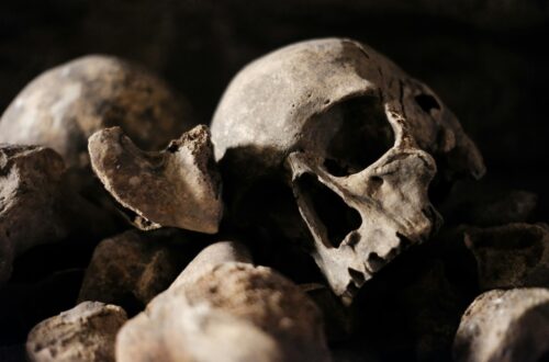 A broken skull in a pile of stones